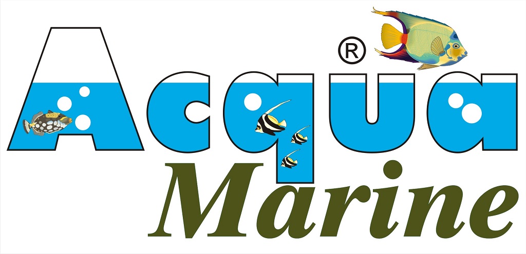 Logomarca Acquamarine